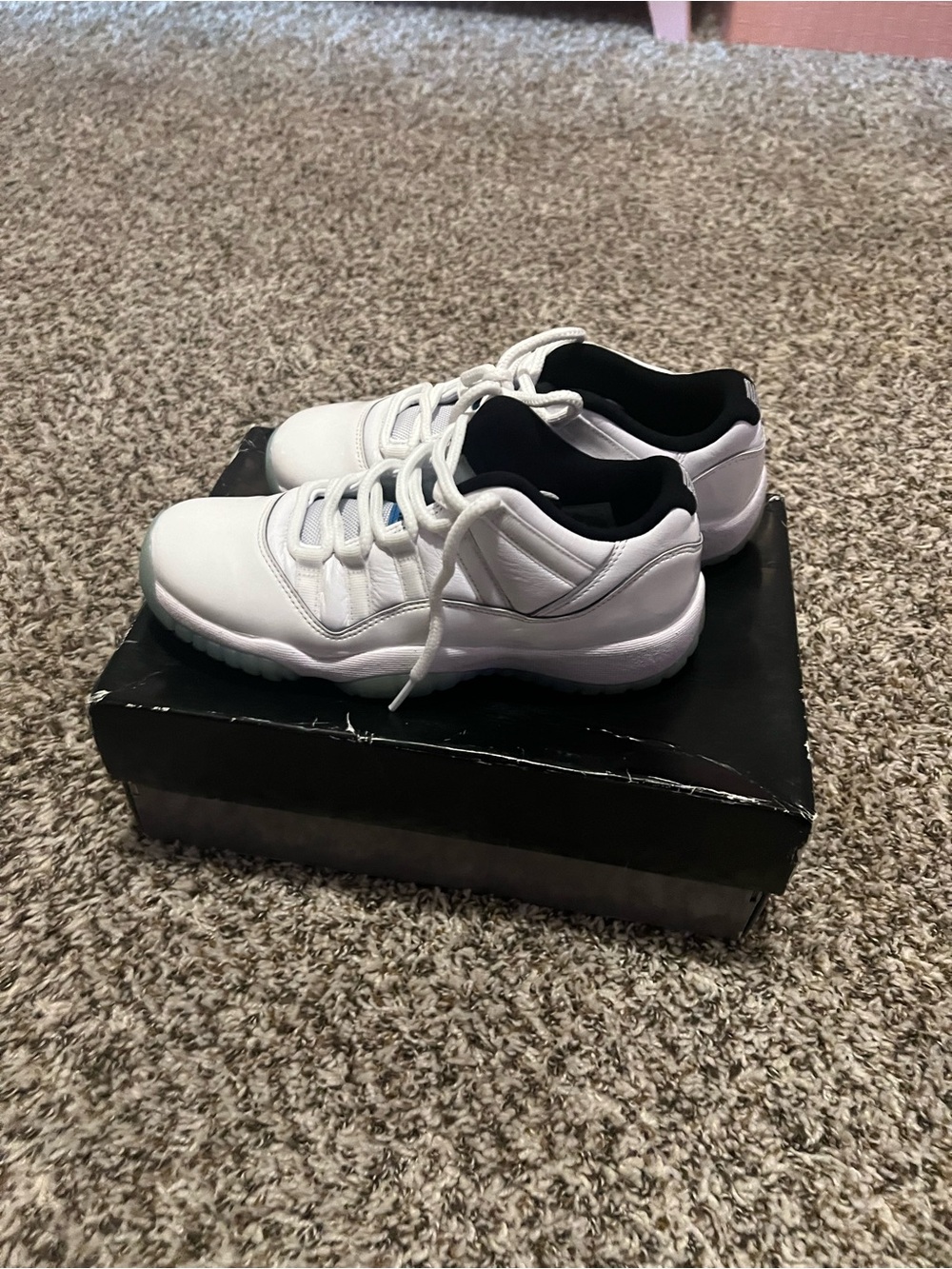 Jordan 11 Lows